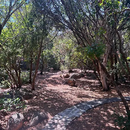 Vila Oasi Di Cala Ginepro Punta Molara